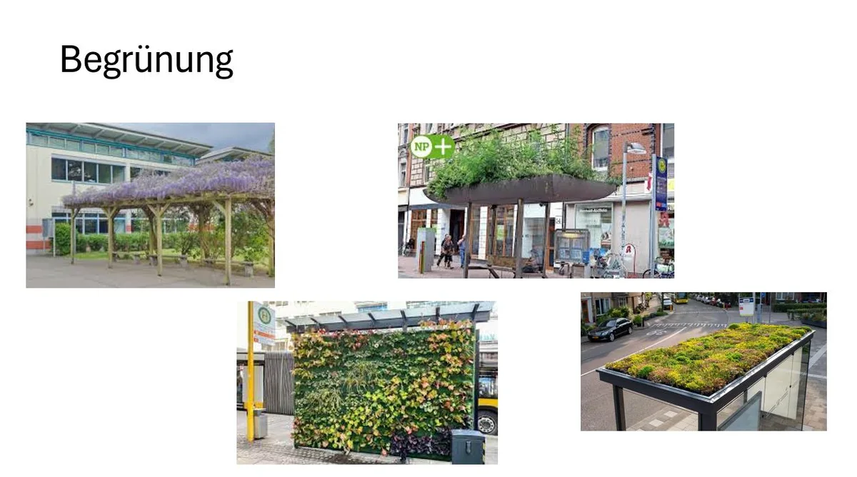 Eine Folie mit verschiedenen Ideen für eine Begrünung der Haltestellen.